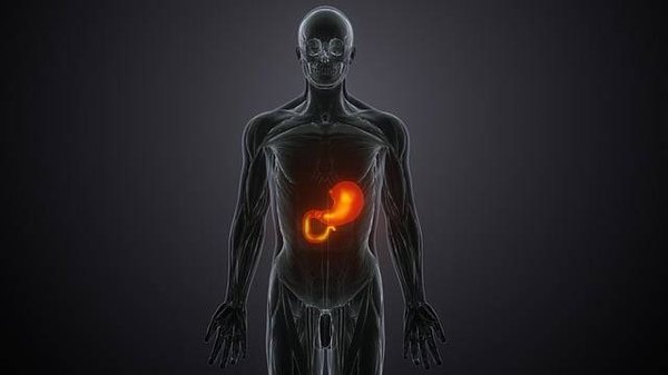 Comprendre la NASH : Tout sur la maladie silencieuse du foie